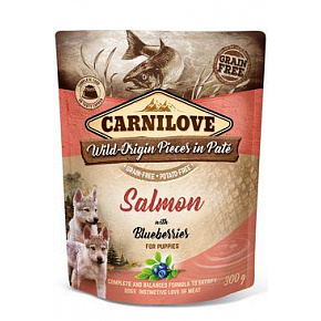 Carnilove Dog Pouch Paté Łosoś & Jagody dla Szczeniąt 300g Carnilove Dog Pouch Paté Łosoś & Jagody dla Szczeniąt 300g