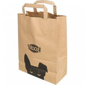 Papierowa torba 22 x 28 x 10 cm