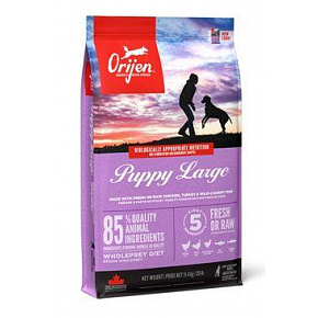 ORIJEN Dog Puppy Large Dry 11,4 kg