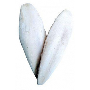 Kość mątwy 10cm (+/-3cm) 20szt.