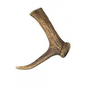 Przysmak z poroża Jelenia 170-230g Przysmak z poroża Jelenia 170-230g