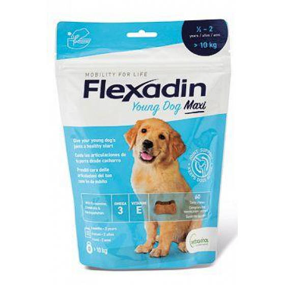 Flexadin Young Dog Maxi do żucia 60tbl Exsp. 2/2026