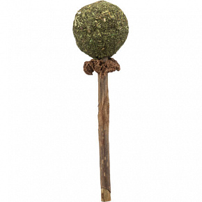 Gryzak MATATABI 11 cm naturalny produkt