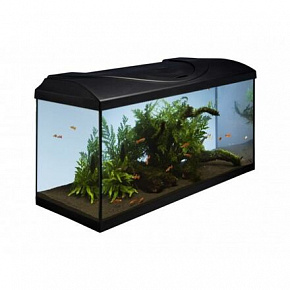 Zestaw akwariowy 80 - czarny 80x35x40 cm Zestaw akwariowy 80 - czarny 80x35x40 cm