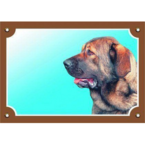 Kolorowa tabliczka Uwaga pies, Mastif hiszpański Kolorowa tabliczka Uwaga pies, Mastif hiszpański