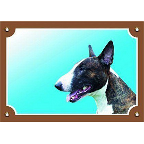 Kolorowa tabliczka Uwaga pies, Bullterier pies Kolorowa tabliczka Uwaga pies, Bullterier pies