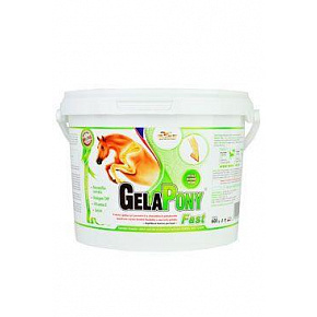 Gelapony Fast 600g Gelapony Fast 600g