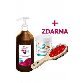 VITAR ArtiVit Syrop 1000ml+DentON100g+szczoteczka VITAR ArtiVit Syrop 1000ml+DentON100g+szczoteczka
