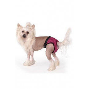 Majtki na cieczkę Fun Colours XS