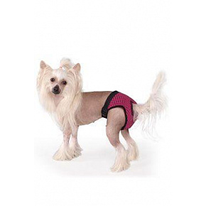 Majtki na cieczkę Fun Colours L