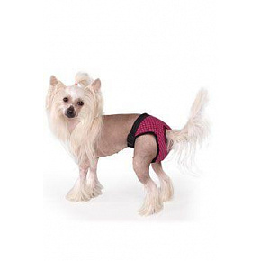 Majtki na cieczkę Fun Colours XL Majtki na cieczkę Fun Colours XL