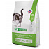Natures P cat adult urinary poultry 2 kg