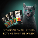 Sheba Selection in Sauce Šťavnaté příchutě 12 x 85 g