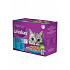 Whiskas saszetka Core rybny wybór w galarecie 12x85g