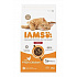 Iams Cat Adult Indoor Chicken 2kg
