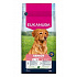 Eukanuba Dog Senior Large bogata w jagnięcinę 12kg