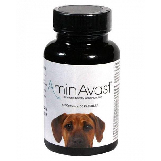 AminAvast 1000 mg 60 kaps. pies