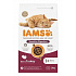 Iams Cat Adult Indyk 3kg