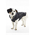 Płaszczyk Raincoat Czarny 20cm XXS KRUUSE