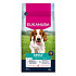 Eukanuba Dog Adult Small&Medium bogaty w łososia i jęczmień 12kg