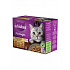 Whiskas saszetka Pure Delight wybór drobiowy w galarecie 12x85g