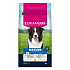 Eukanuba Dog Mature Medium bogaty w świeżego kurczaka 3kg