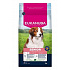 Eukanuba Dog Senior Small&Medium bogata w jagnięcinę 3kg