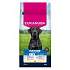 Eukanuba Dog Mature Large bogaty w świeżego kurczaka 15kg