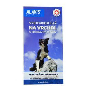 Alavis - broszura promocyjna 1 szt.