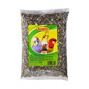 Avicentra słonecznik pasiasty 500g