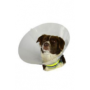 Kołnierz ochronny BUSTER plastikowy Classic Collar zestaw 7 sztuk