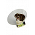 Kołnierz ochronny BUSTER plastikowy Classic Collar zestaw 7 sztuk