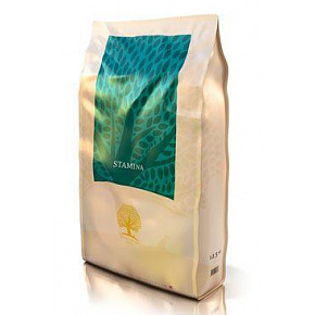Essential Stamina 2,5 kg