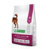 Natures P dog adult mini extra łosoś 2 kg