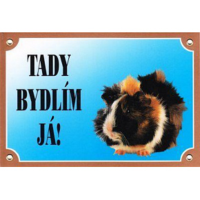 Kolorowa tabliczka Uwaga pies, Świnka morska Kolorowa tabliczka Uwaga pies, Świnka morska