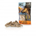 KIDDOG SUPER PREMIUM 100% pierś z kaczki suszona mrozem 50 g