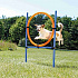AGILITY koło do przeskoków