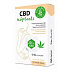 Plastry CBD 12 sztuk