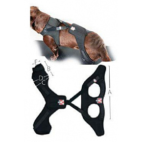 Bandaż Rehab Pro na kolano dla psa KRUUSE M prawa