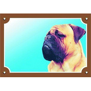 Kolorowa tabliczka Uwaga pies, Bullmastif Kolorowa tabliczka Uwaga pies, Bullmastif
