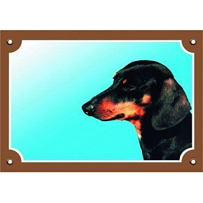 Kolorowa tabliczka Uwaga pies, Jamnik krótkowłosy czarny Kolorowa tabliczka Uwaga pies, Jamnik krótkowłosy czarny