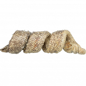 Denta Fun Curl - skóra bawola z dorszem [50 szt.], skręcony przysmak, 12 cm/25 g