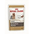 RC MV SHN MINI YORKSHIRE SASZETKA 85 g