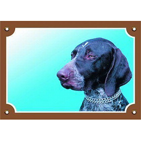 Kolorowa tabliczka Uwaga pies, Wyżeł niemiecki krótkowłosy Kolorowa tabliczka Uwaga pies, Wyżeł niemiecki krótkowłosy