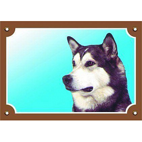 Kolorowa tabliczka Uwaga pies, Malamut