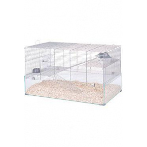 Klatka dla myszoskoczka NEOLIFE 80 GERBIL szara glass Zolux Klatka dla myszoskoczka NEOLIFE 80 GERBIL szara glass Zolux