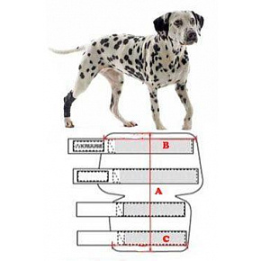 Bandaż Rehab na staw skokowy dla psa KRUUSE XXXS