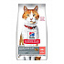 Hill's Fel. SP Adult Sterilised Cat Salmon 10kg