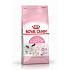 Royal Canin Feline Babycat 400g