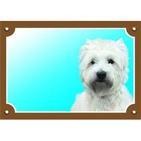 Kolorowa tabliczka Uwaga pies, West highland white terrier